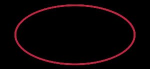 Oval partner logo