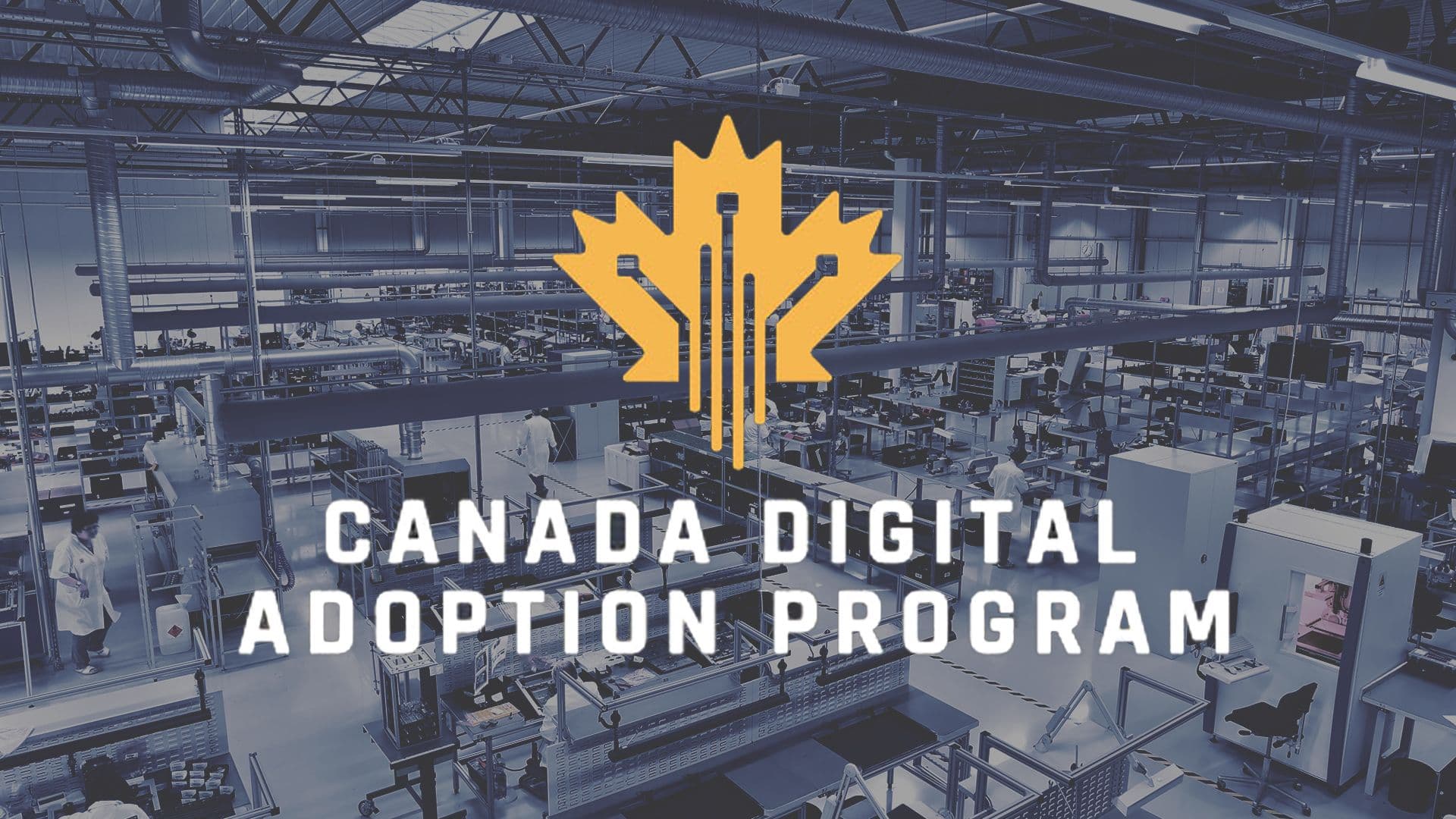 Canada Digital Adoption Program 