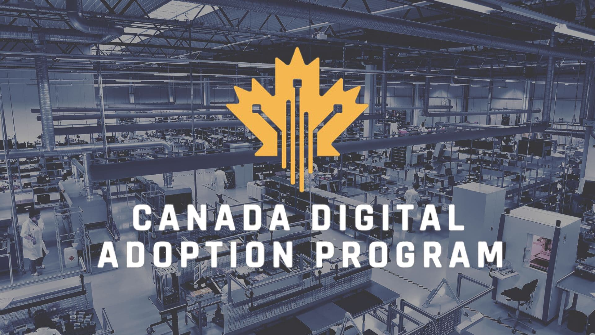Canada Digital Adoption Program